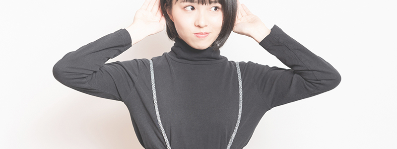 耳寄り画像2