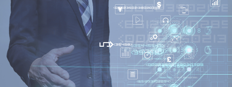 LP-併用型